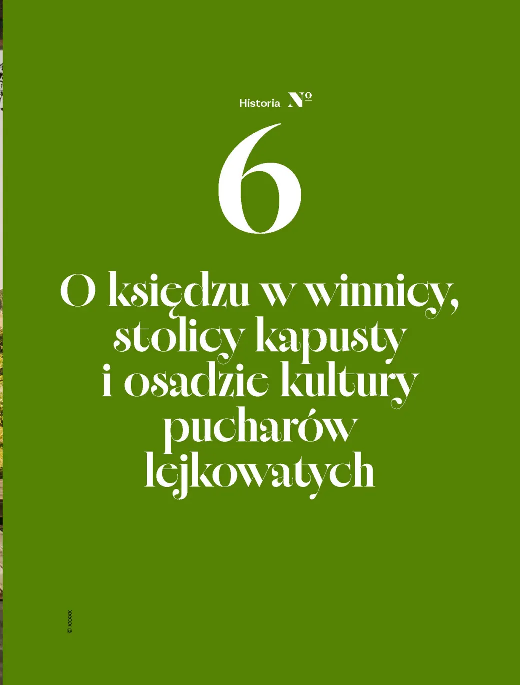 „Historie o polskim winie” – historia 6: O księdzu w winnicy, stolicy kapusty i osadzie kultury pucharów lejkowatych